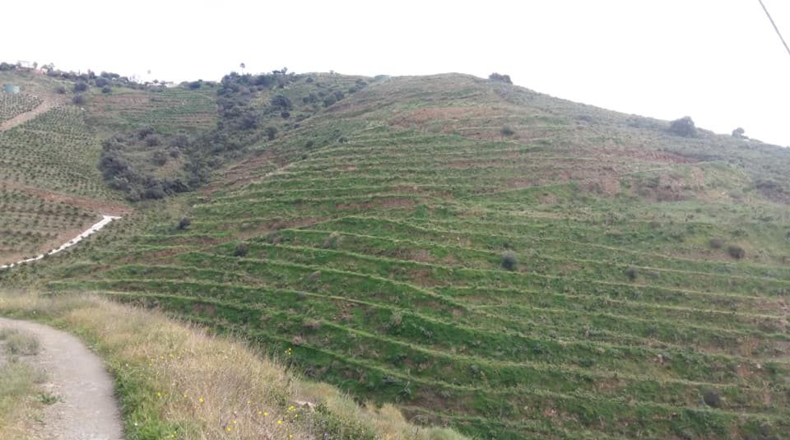 Málaga - Torrox - 43000m2