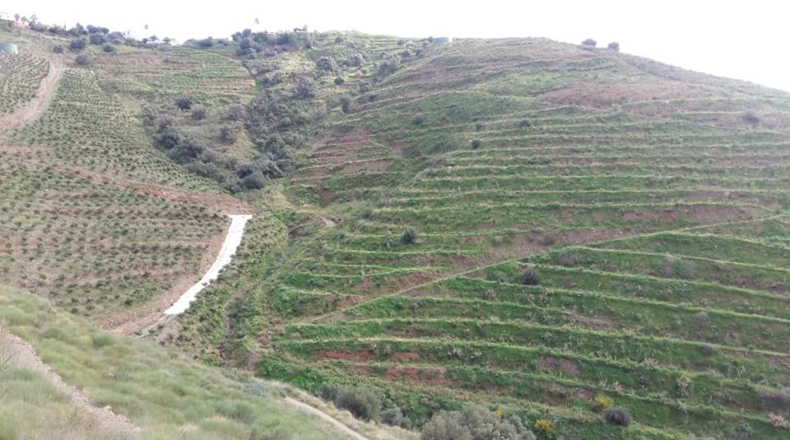 Málaga - Torrox - 43000m2