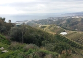 Земля на продажу у города Torrox Park Фото
