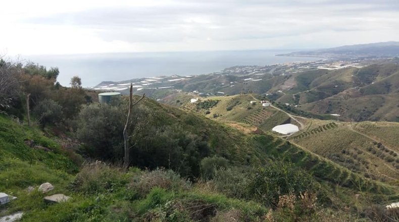 Málaga - Torrox - 43000m2