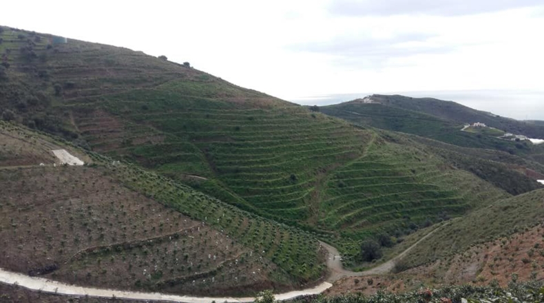 Málaga - Torrox - 43000m2