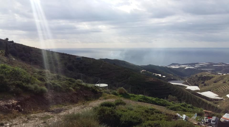 Málaga - Torrox - 43000m2