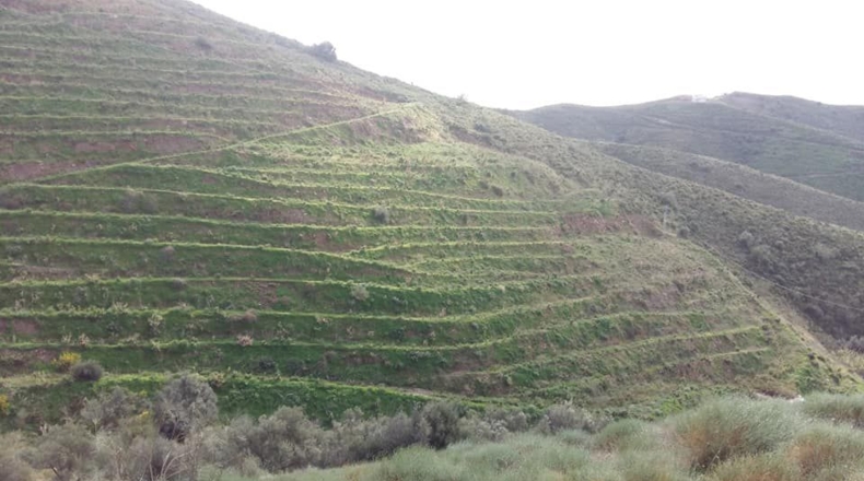 Málaga - Torrox - 43000m2