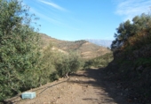 Земля на продажу у города Torrox Park Фото