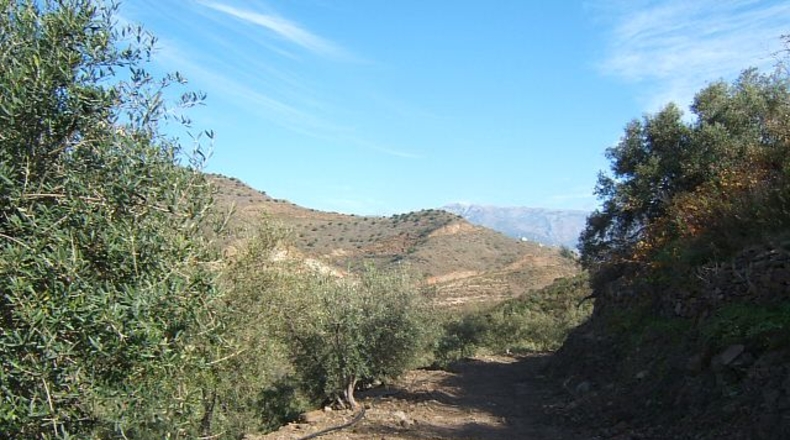 Málaga - Torrox - 3400m2