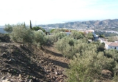Земля на продажу у города Torrox Park Фото