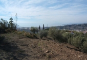 Земля на продажу у города Torrox Park Фото