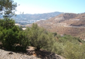 Земля на продажу у города Torrox Park Фото