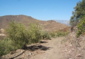 Земля на продажу у города Torrox Park Фото