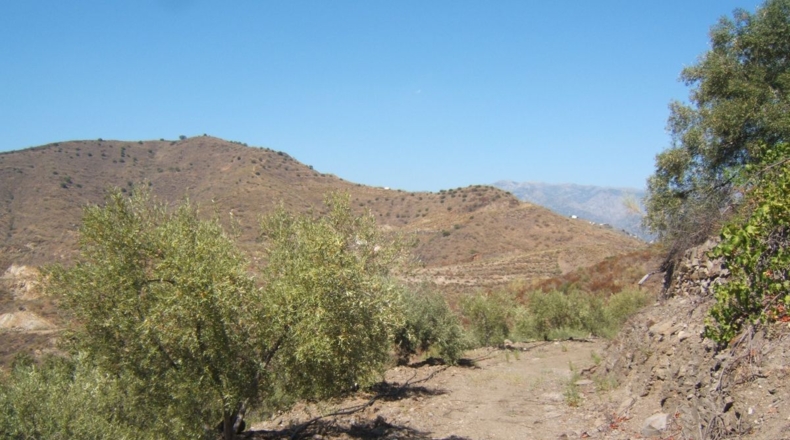 Málaga - Torrox - 3400m2