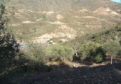Земля на продажу у города Torrox Park Фото