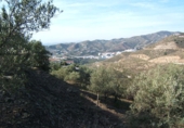 Земля на продажу у города Torrox Park Фото
