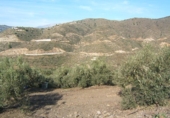 Земля на продажу у города Torrox Park Фото
