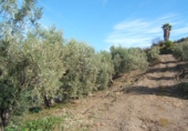 Земля на продажу у города Torrox Park Фото