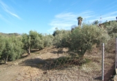 Земля на продажу у города Torrox Park Фото