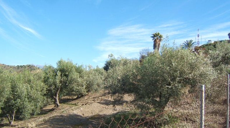 Málaga - Torrox - 3400m2