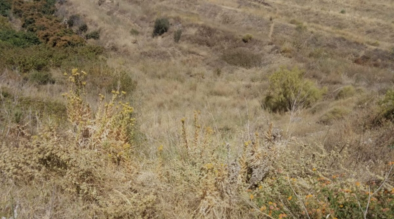Málaga - Torrox - 380m2
