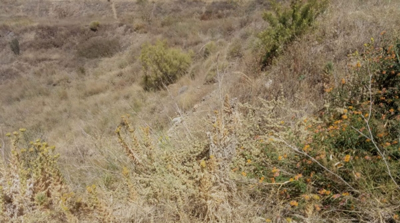 Málaga - Torrox - 380m2