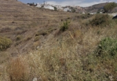 Parcela urbanizable en venta en la España, Torrox Park, ref: TR53577 foto