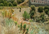 Land suitable for development for sale in Torrox Park ref: TR53576 photo