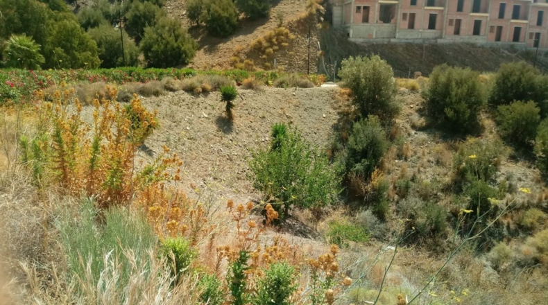 Málaga - Torrox - 410m2