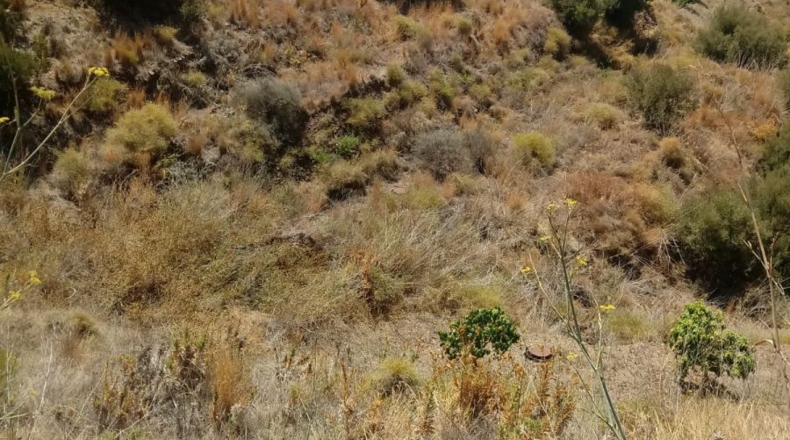 Málaga - Torrox - 410m2