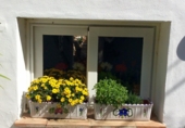 Chalet independiente con terreno en venta en Nerja ref: TR14106 foto