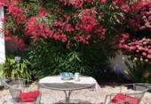Chalet independiente con terreno en venta en Nerja ref: TR14106 foto