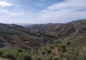 Xalet independent amb terreny en venda a Frigiliana ref.: TR27410 foto