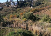 Land suitable for development for sale in Torrox ref: TR53566 photo