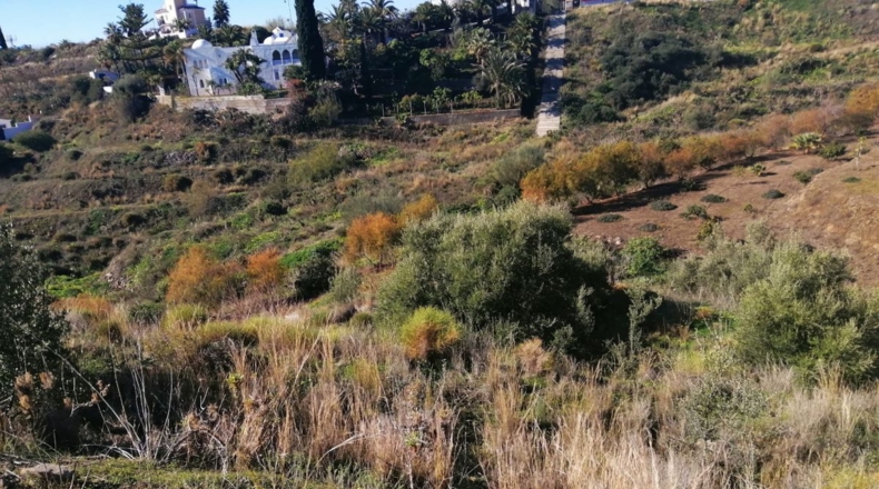 Málaga - Torrox - 500m2