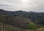 Finca rústica en venda a Torrox ref.: TR187620 foto