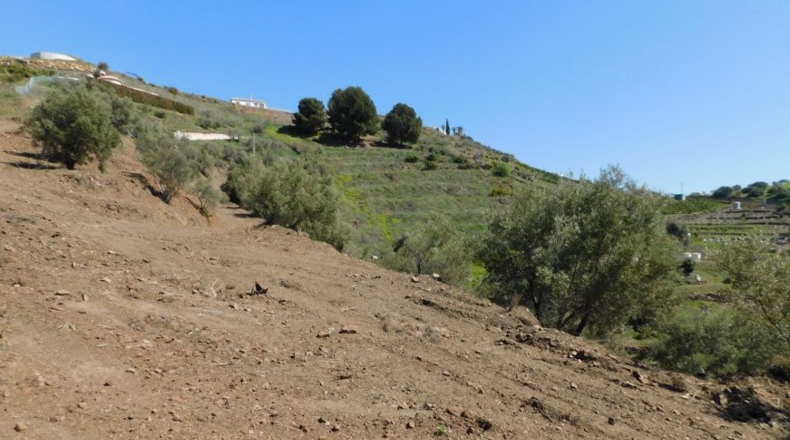 Málaga - Torrox - 5000m2