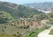 Terreny no urbanitzable en venda a Torrox ref.: TR53562 foto