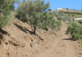 Terreny no urbanitzable en venda a Torrox ref.: TR53562 foto