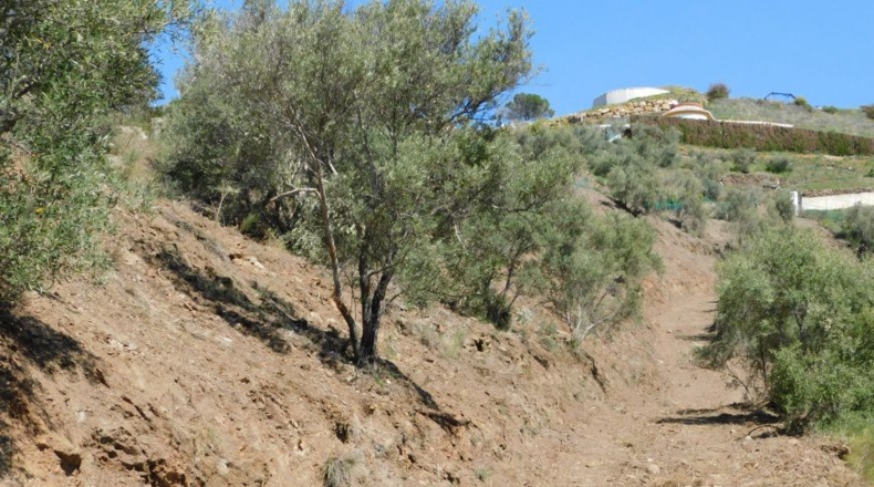 Málaga - Torrox - 5000m2