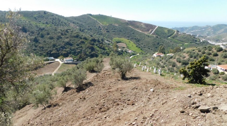 Málaga - Torrox - 5000m2