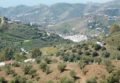 Terreny no urbanitzable en venda a Torrox ref.: TR53562 foto