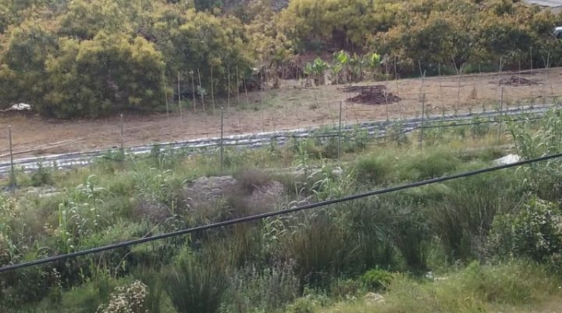 Málaga - Nerja - 3500m2