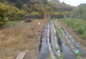 Chalet independiente con terreno en venta en Nerja ref: TR22692 foto