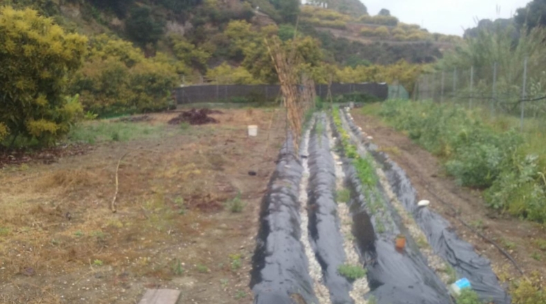 Málaga - Nerja - 3500m2