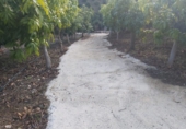 Xalet independent amb terreny en venda a Frigiliana ref.: TR202512 foto