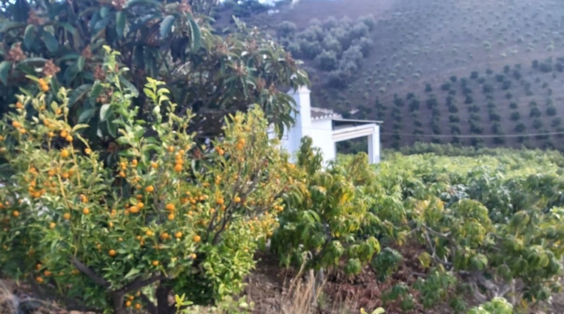 Malaga - Torrox - 3300m2