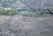 Xalet independent amb terreny en venda a Torrox Park ref.: TR24681 foto
