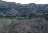 Xalet independent amb terreny en venda a Torrox Park ref.: TR24681 foto