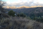 Xalet independent amb terreny en venda a Torrox Park ref.: TR24681 foto