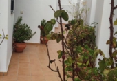Casa de poble en lloguer a Frigiliana ref.: TR285050 foto