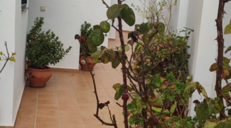 Málaga - Frigiliana - 160m2