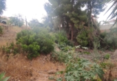 Land suitable for development for sale in Nerja ref: TR45231 photo