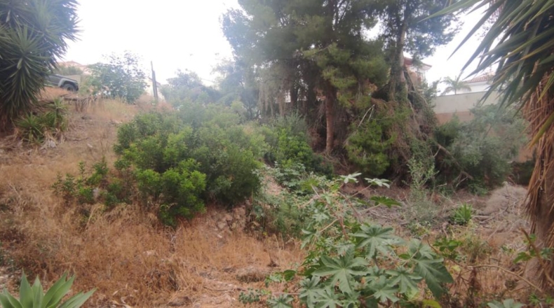 Málaga - Nerja - 485m2